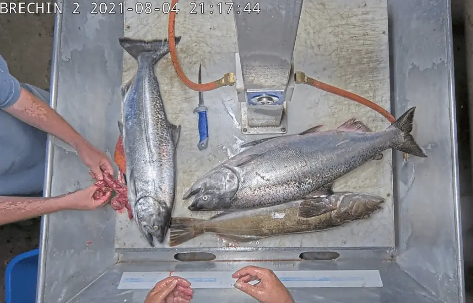 Cover Image for 从“更先进的技术”到“更好用的监测”