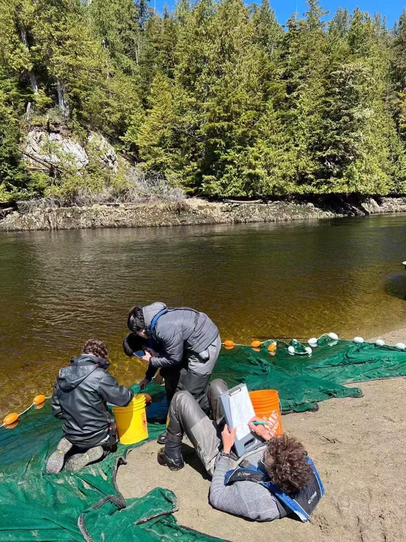layout:row Koeye River
