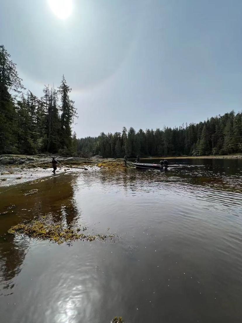 layout:row Koeye River