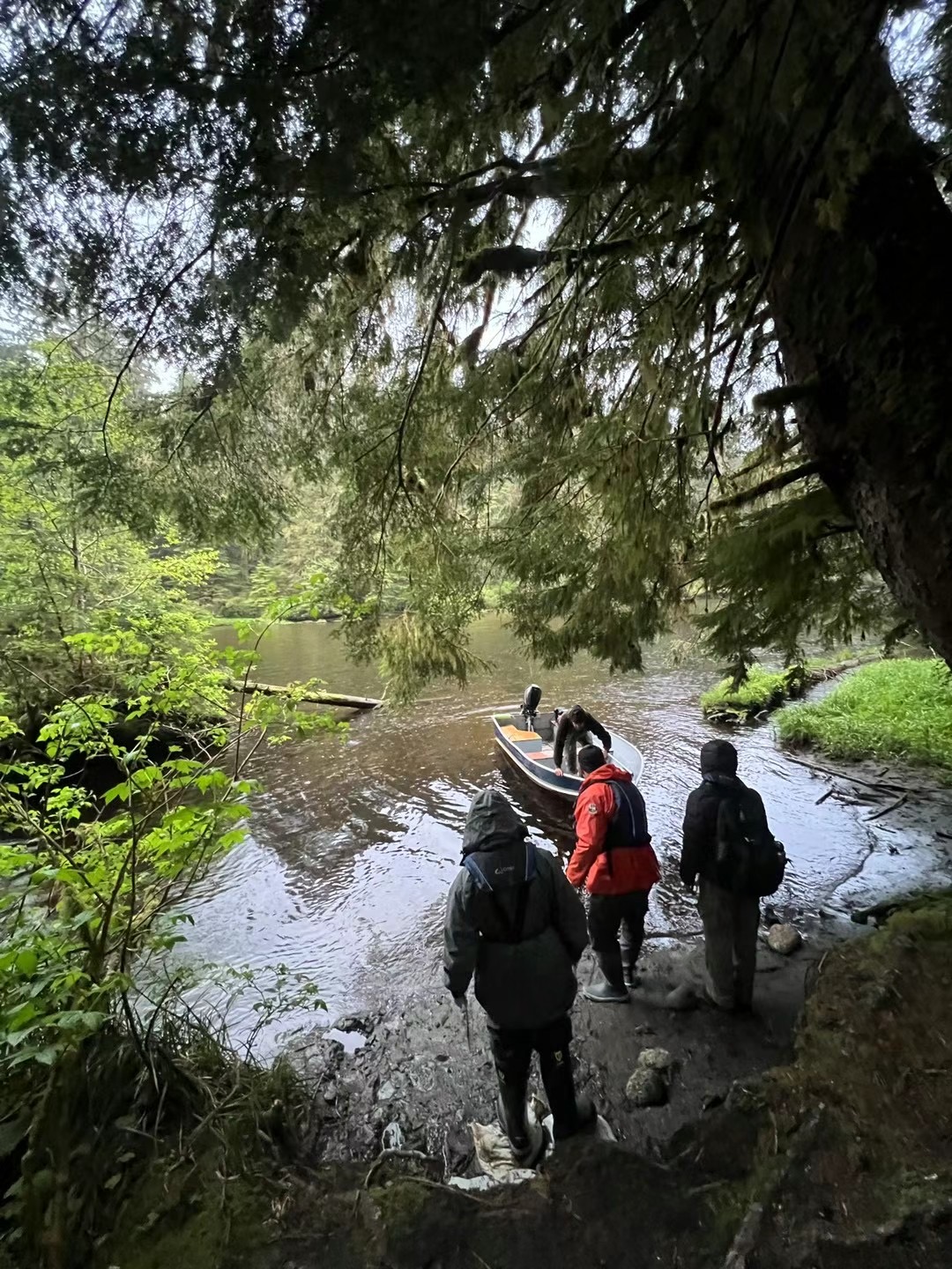 Koeye River